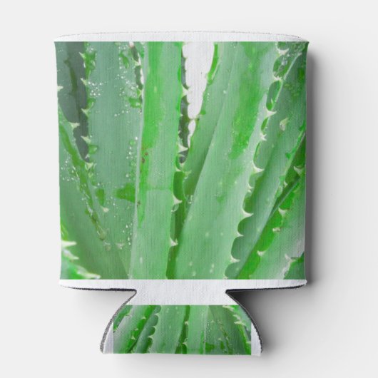 Aloe Vera Blikjeskoeler (Achterkant)