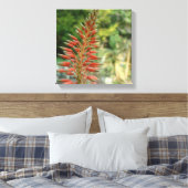 Aloë Vera Bloesem Fotoprint Canvas Afdruk (Insitu (Slaapkamer))