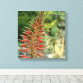 Aloë Vera Bloesem Fotoprint Canvas Afdruk (Insitu (Houten vloer))