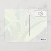 Aloe Vera Briefkaart (Achterkant)