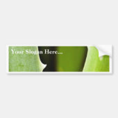 Aloe Vera Bumpersticker (Voorkant)