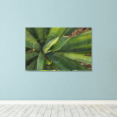 Aloe Vera Canvas Afdruk (Insitu (Houten vloer))