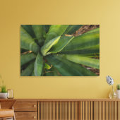 Aloe Vera Canvas Afdruk (Insitu (Woonkamer))