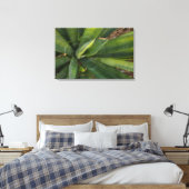Aloe Vera Canvas Afdruk (Insitu (Slaapkamer))