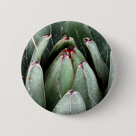 Aloë Vera Foto Plant Lover Ronde Badge Button 5,7 Cm (Voorkant)
