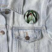 Aloë Vera Foto Plant Lover Ronde Badge Button 5,7 Cm (In situ)