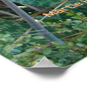 Aloe Vera Garden Poster (Hoek)