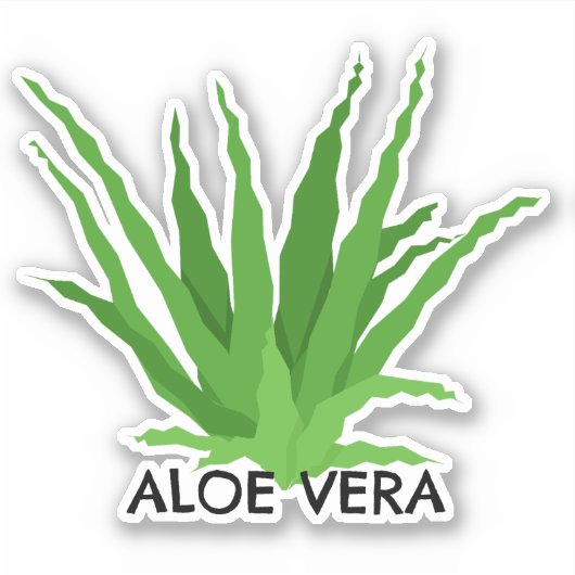Aloë vera Green Succulent Sticker (Voorkant)