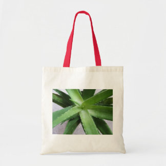 Aloe Vera in zijn eerste Tote Bag