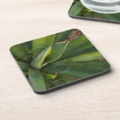Aloe Vera Onderzetter (Linkerzijde)