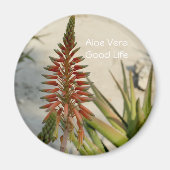 Aloë Vera plant bloem Button Magneet (Voorkant)