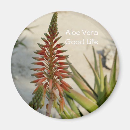 Aloë Vera plant bloem Button Magneet (Voorkant)