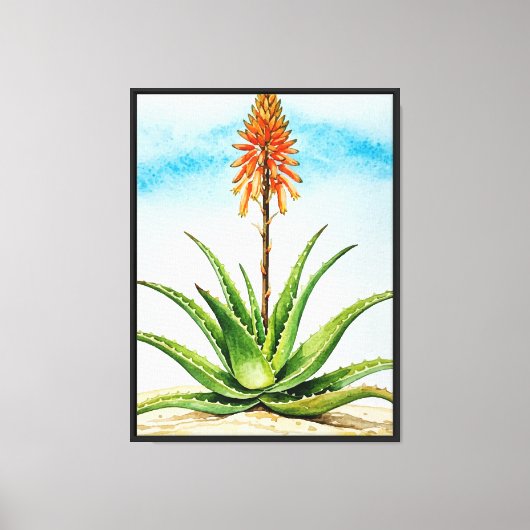 Aloë vera plant canvas afdruk (Voorkant)