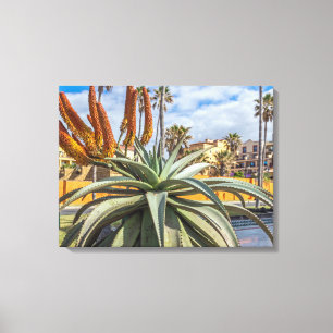 Aloë Vera plant en bloemencanvas print