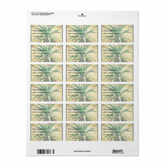 Aloe Vera Plant Etiket (Full Sheet)