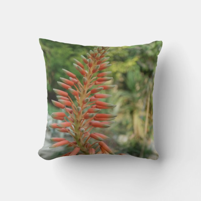 Aloë Vera Plant Foto Gooi Kussen (Voorkant)