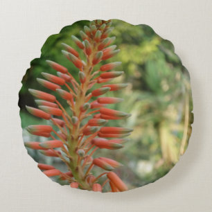 Aloë Vera Plant foto rond kussen