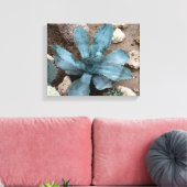 Aloë Vera Plant foto verpakt canvas print (Insitu (Woonkamer))