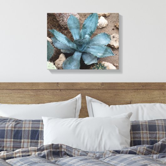 Aloë Vera Plant foto verpakt canvas print (Insitu (Slaapkamer))