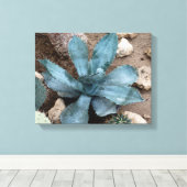 Aloë Vera Plant foto verpakt canvas print (Insitu (Houten vloer))