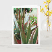 Aloe Vera Plant Kaart (Gele Bloem)