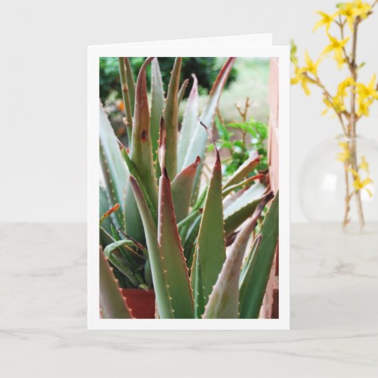 Aloe Vera Plant Kaart (Gele Bloem)