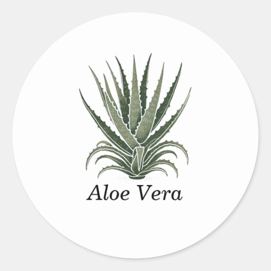 Aloë Vera Plant Kruidenapotheker Ronde Sticker (Voorkant)