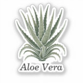 Aloë Vera Plant Kruidenapotheker Sticker (Voorkant)