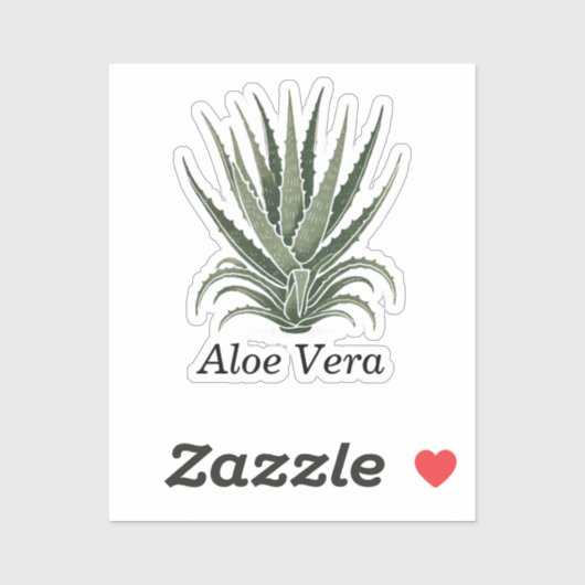 Aloë Vera Plant Kruidengeneeskunde Sticker (Vel)