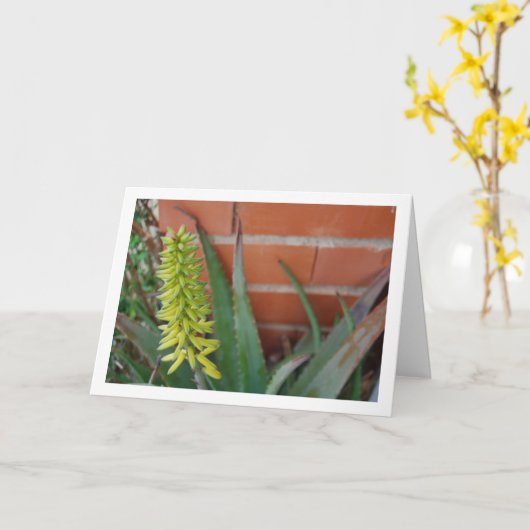 Aloë Vera Plant met bloemenhoofd Kaart (Gele Bloem)