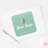 Aloë Vera Plant Schattige Symbool Sojakaarsen Labe Vierkante Sticker (Envelop)