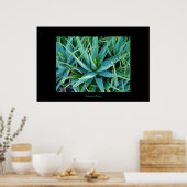 Aloe Vera Poster (Keuken)