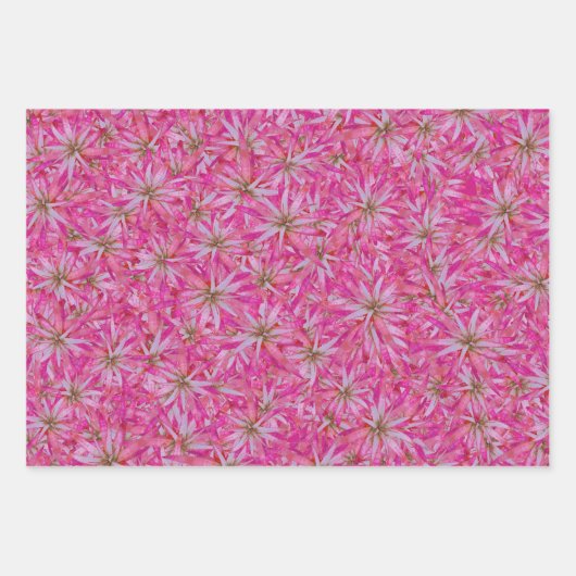 Aloë vera rood plant motief ingewikkeld patroon inpakpapier vel (Voorkant 2)