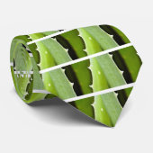 Aloe Vera Stropdas (Opgerold)