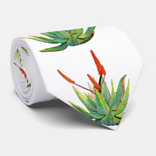 Aloe Vera Stropdas (Opgerold)