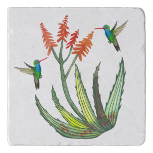 Aloe Vera Succulent Flower Hummingbird Waterverf Trivet
