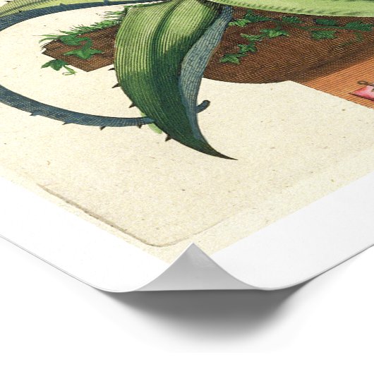 Aloe Vera Vulgaris uit 'Phytographia Curiosa', p Poster (Hoek)