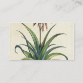 Aloe Vera Vulgaris uit 'Phytographia Curiosa', p Visitekaartje (Achterkant)