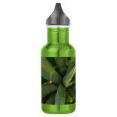 Aloe Vera Water Fles (Links)