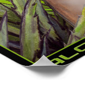 ALOEVENUS POSTER (Hoek)