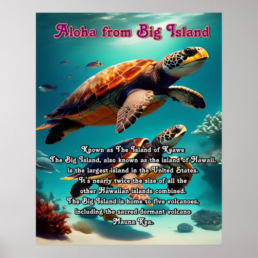 Aloha Big Island Hawaii Poster (Voorkant)