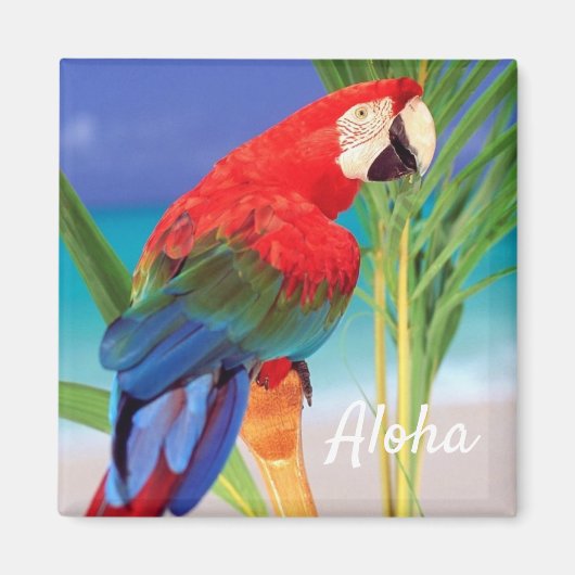 Aloha Bird Magnet (Voorkant)