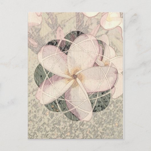 Aloha Blossom Briefkaart (Voorkant)