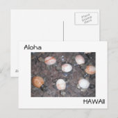 Aloha Briefkaart (Voorkant / Achterkant)