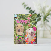 ALOHA. BRIEFKAART (Staand voorkant)