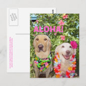 ALOHA. BRIEFKAART (Voorkant / Achterkant)