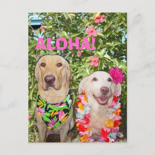 ALOHA. BRIEFKAART (Voorkant)