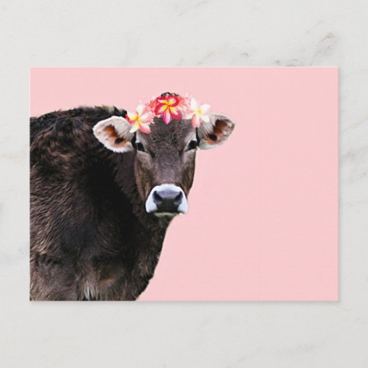 Aloha Cow, Lei, Pink Summertime Fun Briefkaart (Voorkant)