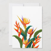 Aloha Diploma! Tropical Graduation Pool Party Kaart (Achterkant)