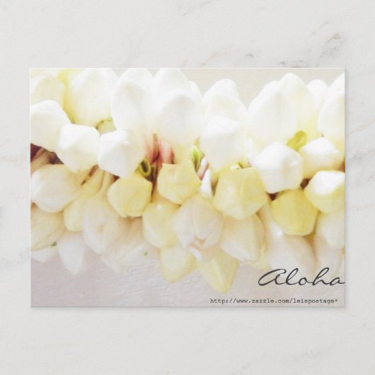 Aloha en Mahalo Briefkaart (Voorkant)